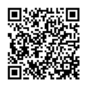 第一次发现这样的死法确实对谁都能交代的过去了二维码生成