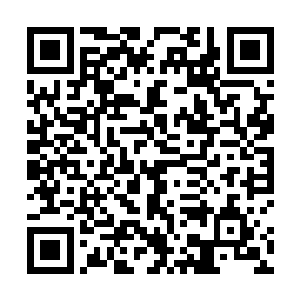 第二轮玉器拍卖时金家捐出的血玉凌云集团也不会染指二维码生成