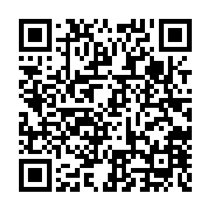 算是他第一次专门为了积累杀戮经验而进的副本二维码生成