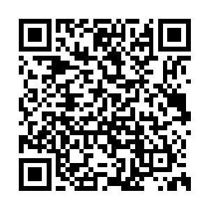 管家可以说是一家之主最为信任的人也不为过的二维码生成