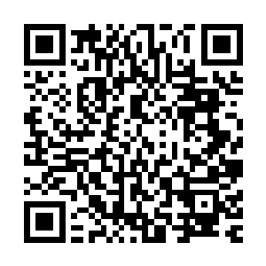 红珊瑚资本的亚德里恩先生同样态度坚定而没有任何商量余地二维码生成