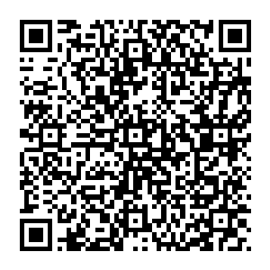 终于在半个小时的时间内赶到了黑炎城火车站附近的一条与大街连接着的不算热闹也不算偏僻的小巷之中二维码生成