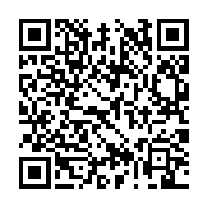 终于确定自己现在很安全的大角不□□稳的睡着了二维码生成
