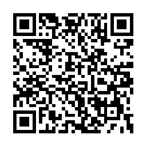 结果剿成了八万……刚刚他们才告诉我……算了二维码生成