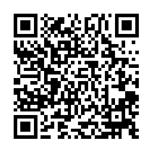 结果在诺门坎叫朱可夫狠狠的揍了一顿之后才老实下来的二维码生成
