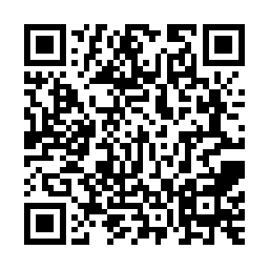 结果我们都觉得洗尘仙门肯定算是白赚几个天剑仙门的弟子的二维码生成