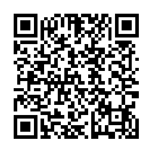 绿阶武技便已经是神技甚至登峰境界武术家的看家本领了二维码生成