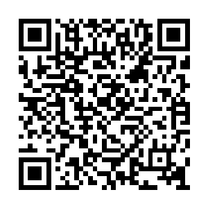 罗森伯格在这样一部不起眼的小制作上继续加价二维码生成