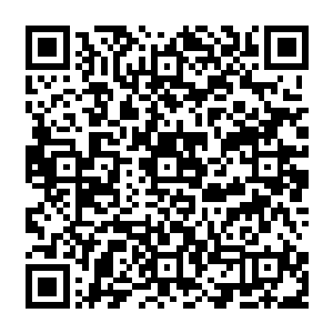 老猴子看着　内心闪过无数念头　此人资质不凡　而且懂得内敛　假以时日　肯定能成大器二维码生成