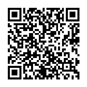 而不是跟着宣抚副使蔡攸那一帮汴梁子在真定府混军功混磨堪二维码生成