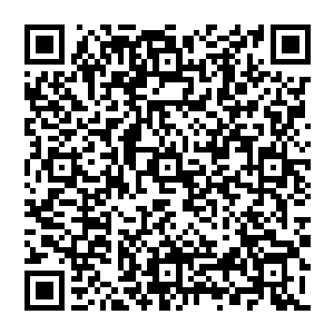 而他与这石头无冤无仇　就这么切下去　又有些于心不忍　正在犹豫之时　一旁的老猴子却是叫他赶紧出手二维码生成