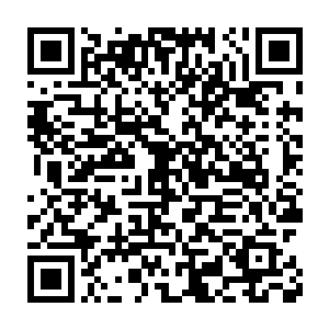 而他这个货真价实的家主在他面前反倒像是一个上了年纪的弟子而已二维码生成
