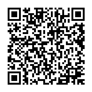 而伏特加还有中国的五粮液茅台还有各样酒瓶子几乎摆满了整整一桌子二维码生成