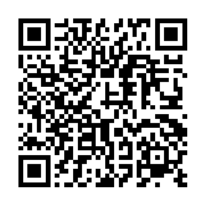 而冉妮这会和刚开始又蹦又跳又会骂人的小妮子完全不同二维码生成