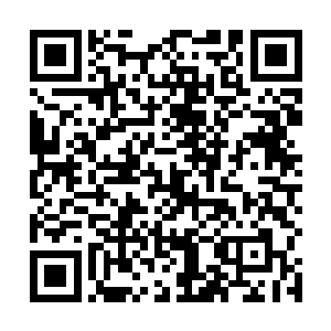 而刘香梨也不知道刚才丁长生和柯子华两人在嘀咕什么二维码生成