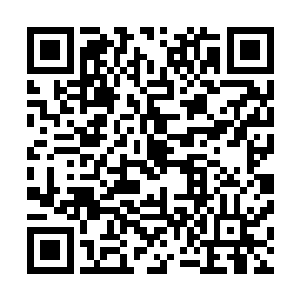 而右侧就是这样简单测试过了长桌以后获得点头认可的姑娘二维码生成