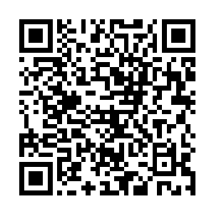 而吕嘉薇在之前曾经在京城搞过模特经纪这一类的业务二维码生成