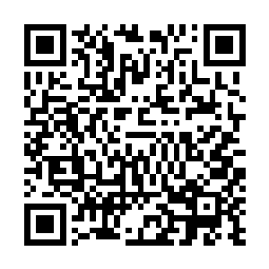 而小叹……等待的也正是伊达政宗将无双乱舞用去的刹那二维码生成