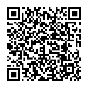 而恭武杰也是准备用这部片子攀上顶尖巨星的位置必定会全力以赴二维码生成