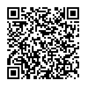 而我们也恍若无事的跟着信小筠等寒仙门的仙家从界坞走入了界面之中二维码生成
