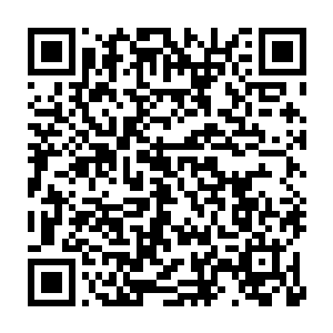 而我在和牛立的战斗中已经用出了这次能在比赛中使用的最大底牌二维码生成