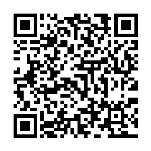 而是从脊柱里爬出一堆又一堆像蛆一样蠕动的灰白色的虫子二维码生成