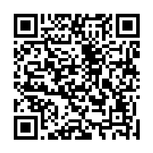 而是害怕安妮忽然猛的跳起来狠狠的扇上钟大福一个巴掌二维码生成