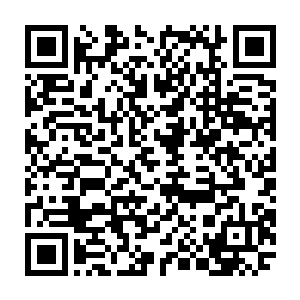 而更加凄惨的是那种使用了连正式巫师实力都达不到的血脉本源所形成的术士二维码生成