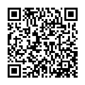 而秦宇却是不想和这不比狮子体格小的藏獒来一场人獒大战二维码生成