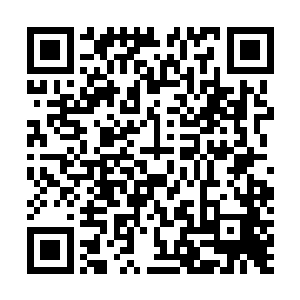而结盟之后宗门的帮助也会按照你给予苍澜宗的贡献多少二维码生成