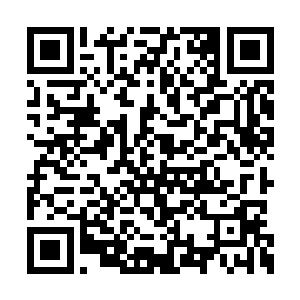 而负责管理审批使用手机和上网资格的有关部门二维码生成