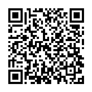 而这第一辆车的挡风玻璃已经被砸得完全看不到前方二维码生成