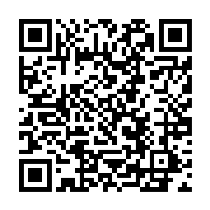 耗费神武宗和炼药师殿堂这么多的心力才促成的计划二维码生成