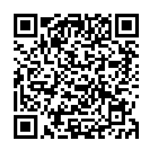 胎这类牵扯到宗教的话题也依旧是总统候选们的必修课题二维码生成
