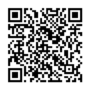 胥尔升修长的指尖细细婆娑着精美雕花的红木书桌边缘二维码生成