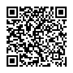 能自动统计持着猎海令的令主所斩杀的海族和海兽的等阶二维码生成