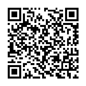 脑海中不停的翻滚着刚才从神飞羽那里得到的记忆二维码生成
