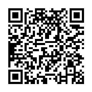 脑海里浮现林若溪在厨房里动作笨拙地做菜的样子二维码生成