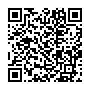 自己在杀死血魔城主之后竟然没有得到任何贡献积分二维码生成