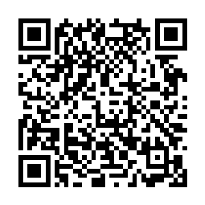 自己是少有的没怎么服用过丹药的炼丹大师了――二维码生成