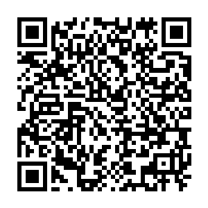 自己的掌门如今竟然已经实质性地掌控着犹如银河系那般浩瀚无垠的三大界域二维码生成
