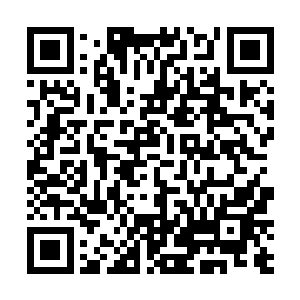 至今没用同境界的妖蛮可以一击击破同境界的墨守成规二维码生成