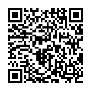 至少一般的猫不会时不时的用看神经病似的眼神看着自己的饲主二维码生成