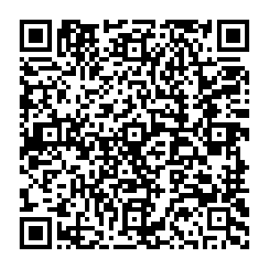 艾娃这样表现让贝海时不时的想起以前看见过的俄罗斯大妈们直接扛着一根小几十公分原本树干回家的照片二维码生成