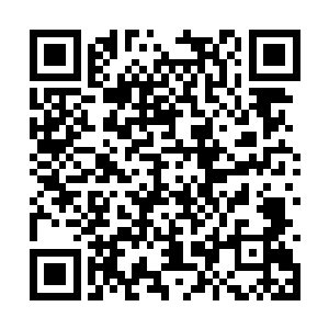 花家那群家伙估计已经在去往南边的路口等着了吧二维码生成