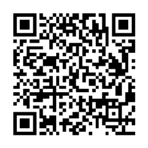 苍九霄在各位宗主的目光下又不得不连通了朗月的传讯玉简二维码生成