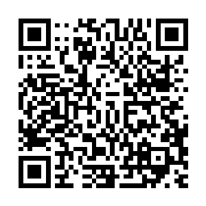 苏凡之前安插在卡里王国的人已经帮助王大力顺利的掌控了政权二维码生成