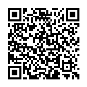 苏落终于动用了她许久都不曾动用过的金针渡血二维码生成