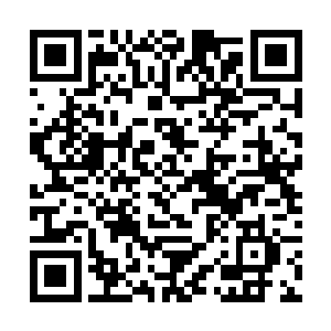 苏醉蝶是自认为墨修尧还爱他所以信心满满的缠着他二维码生成