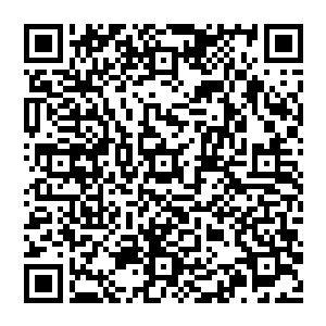 英雄联盟职业联赛的举办地从第一届的loft工业园区到第二届的同济大学体育馆再到现在的上海世博大舞台二维码生成